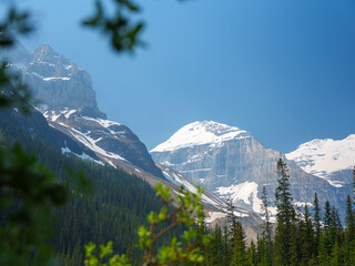 Snow-capped peaks seen from the Six Glaciers Trail in Banff National Park, Alberta. Dramatic alpine scenery with blue sky and summer greenery in the Canadian Rockies.