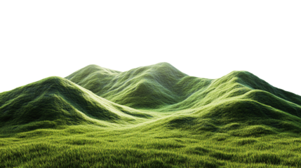 Summer field with lush green grass on transparent, showing the beauty of nature and agricultural products. PNG