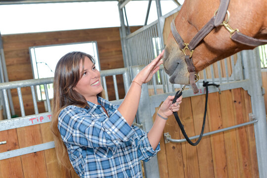 happy woman grooming a horse