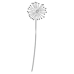 Dandelion doodle vector illustration © Daria