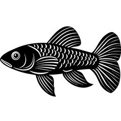 Fototapeta premium fish, sea, animal, water, aquarium, vector, illustration, ocean, cartoon, fishing, nature, isolated, underwater, goldfish, marine, carp, wildlife, tropical, white, bass, art, life, drawing, aquatic, c