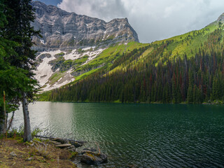 Alpine lake with crystal-clear water surrounded by forest and snowy mountains in summer, Peter...