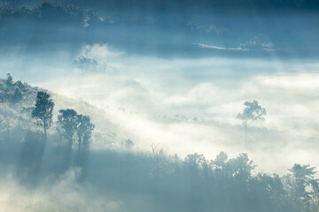 Landscape of Morning Mist with Mountain Layer. mountain ridge and clouds in rural jungle bush forest