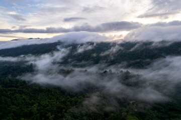 Landscape of Morning Mist with Mountain Layer. mountain ridge and clouds in rural jungle bush forest