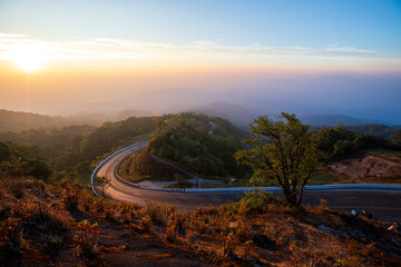 Aerial view of road in beautiful green forest at sunset in spring. Colorful landscape