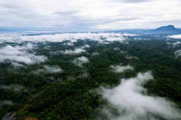 Landscape of Morning Mist with Mountain Layer. mountain ridge and clouds in rural jungle bush forest