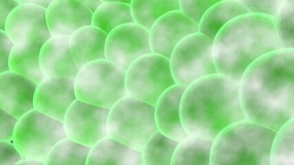 green bacteria cells