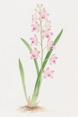 Delicate Pink Orchid Illustration with Detailed Foliage