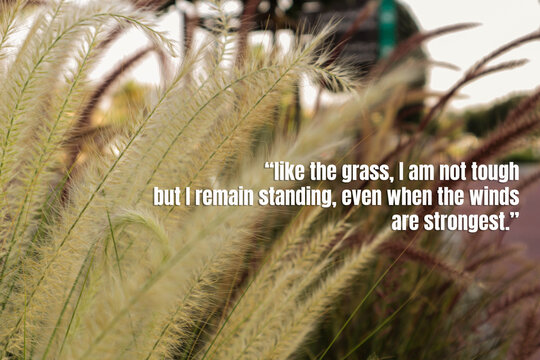 concept for a self esteem building using grass photo and an empowering message - Powered by Adobe