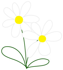 White flower