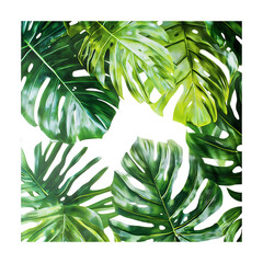 Lush Tropical Leaves Vibrant Green Monstera  Palm Foliage Background