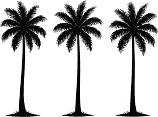 palm trees collection, set silhouette 