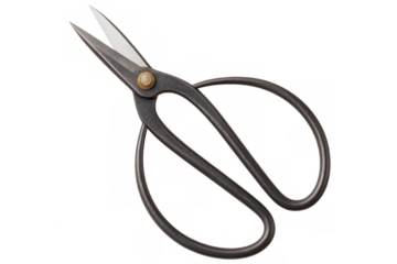 Close-up of bonsai scissors with sharp blades, ideal for precise trimming and shaping, isolated on a transparent background