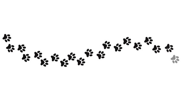Animal paw prints. Comic funny paws along the path. Footprints walking animal on a trajectory of movement.