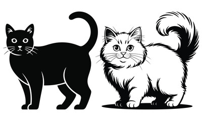 black and white cats