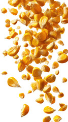  Falling Corn Kernels in Luxury Product Photography with Golden Hues on Transparent Background