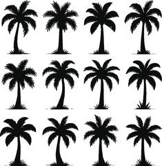 palm trees silhouette set, tropical