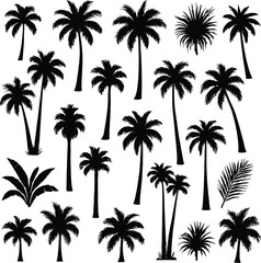 Set silhouettes of palm tree, [Converted]