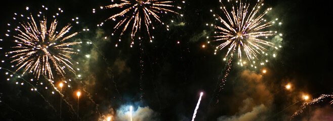 Banner Green firework night time celebrate national holiday. Green Firework celebrate anniversary...
