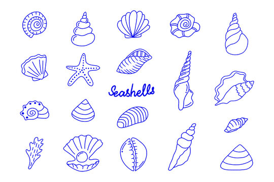 Hand-drawn vector illustration of seashells and starfish, Sea shell collection, summer travel marine kit. Underwater sea shell set, Doodle Outline, Line drawing
