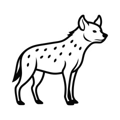 Hyena on white background