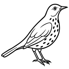 Minimalist Song Thrush Sketch