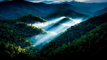 Obraz premium Tranquil Morning Light Shining Through Misty Mountain Forest Landscape in Nature