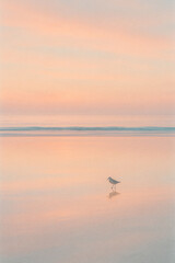 물가의 고요한 일몰