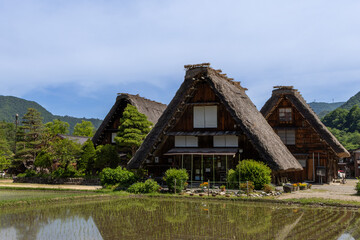 白川郷の合掌造り家屋と初夏の水田 2025年6月撮影。白川郷の合掌造りの古民家と、水田に映る緑豊かな風景が広がる。  © Jazz Hapi Yuko