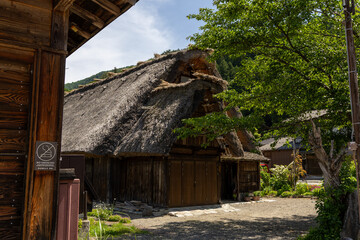 合掌造りの古民家と新緑に包まれた日本の田園風景