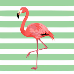 Pink flamingo stands gracefully on one leg over a clean green and white striped pattern background.