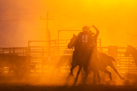 Rodeo Cowboy Competing at Sunset with Lasso on Horseback