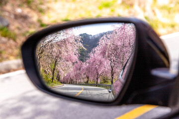 sunglasses on the road