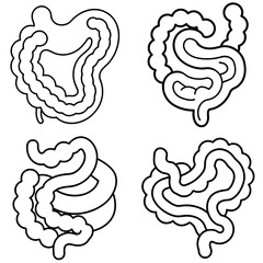 Obraz premium Intestines Coloring Book Page – Human Digestive System Line Art Illustration