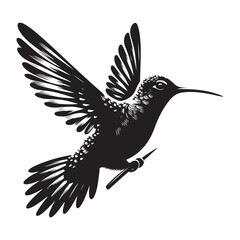 vector illustration of a bird