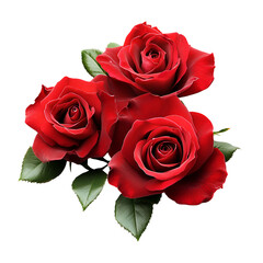 Fototapeta premium Three Deep Red Roses Bouquet Dark Background,