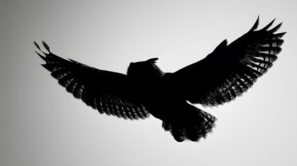 Soaring Silhouette: Capturing the graceful flight of an owl against a luminous sky, this silhouette showcases the power and freedom of the nocturnal bird in a dramatic, high-contrast composition.