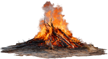 Fiery Bonfire: The heart of a bonfire roars with energy, flames dancing gracefully as the wood burns down.