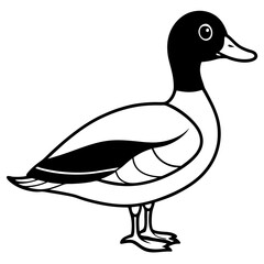 Modern Wood Duck Illustration in Line Style