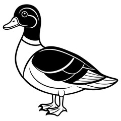 Modern Wood Duck Illustration in Line Style