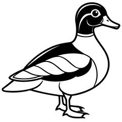 Modern Wood Duck Illustration in Line Style