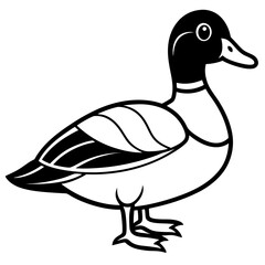 Modern Wood Duck Illustration in Line Style
