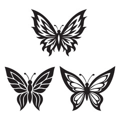black and white butterflies
