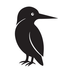 black and white bird