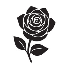 black and white rose