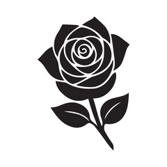 rose on black background