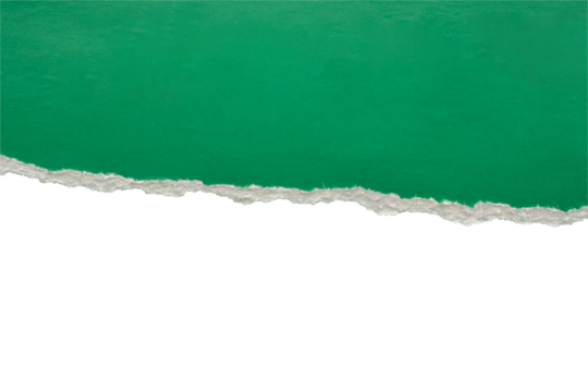 Green ripped paper torn edges strips isolated on black background