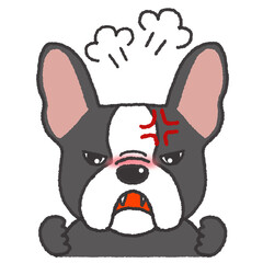 怒っている表情のフレンチブルドッグのイラスト