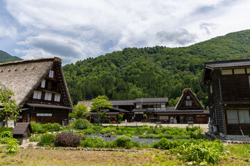 白川郷の合掌造り家屋と畑、庭園。青々とした山々と初夏の雲が広がる伝統的な美しい風景。
