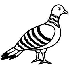 Monochrome Zebra Dove Line Drawing